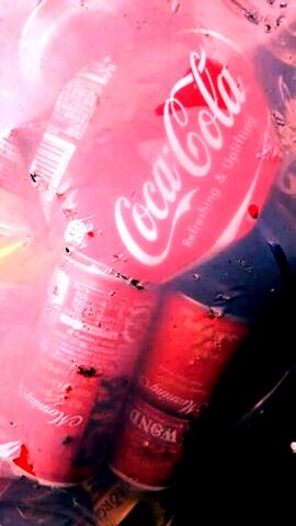 写真・ゴミ袋の中のコカコーラの瓶.jpg
